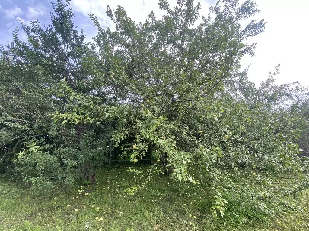 Дом в Ярославская область, Переславль-Залесский муниципальный округ, ... - Фото 1