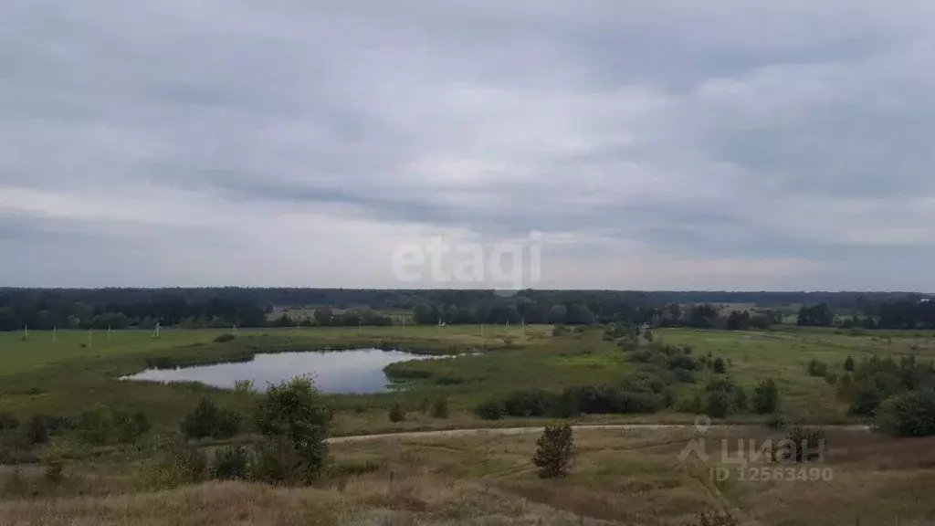 Участок в Воронежская область, Рамонский район, с. Березово ... - Фото 1