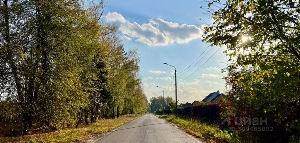 Участок в Московская область, Пушкинский городской округ, пос. ... - Фото 1