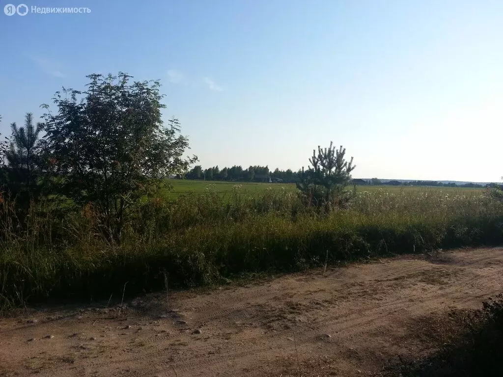 Участок в Плодовское сельское поселение (15 м) - Фото 2