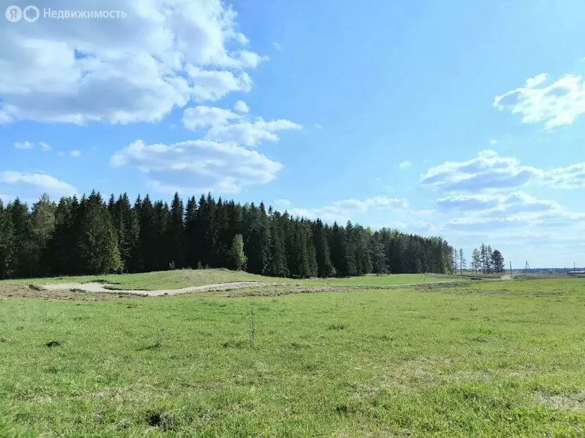 Участок в Лопухинское сельское поселение, рабочий участок 5КП (9.2 м) - Фото 0