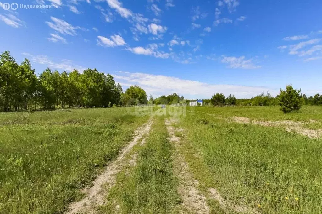 Участок в Ялуторовский район, садоводческое некоммерческое ... - Фото 0