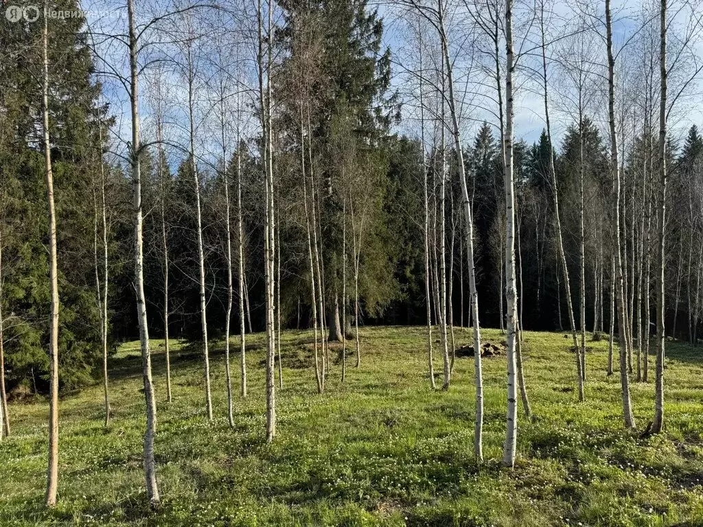 Участок в Выборгский район, Полянское сельское поселение, посёлок ... - Фото 1
