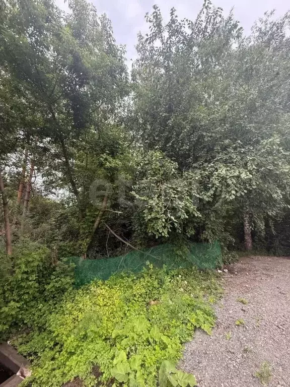 Дом в Кемеровская область, Кемерово Сухой Искитим СНТ,  (67 м) - Фото 1