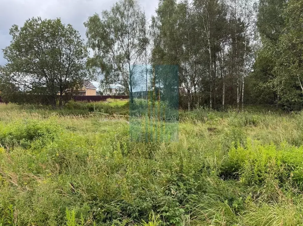 Участок в Московская область, Чехов муниципальный округ, д. Ивачково  ... - Фото 1