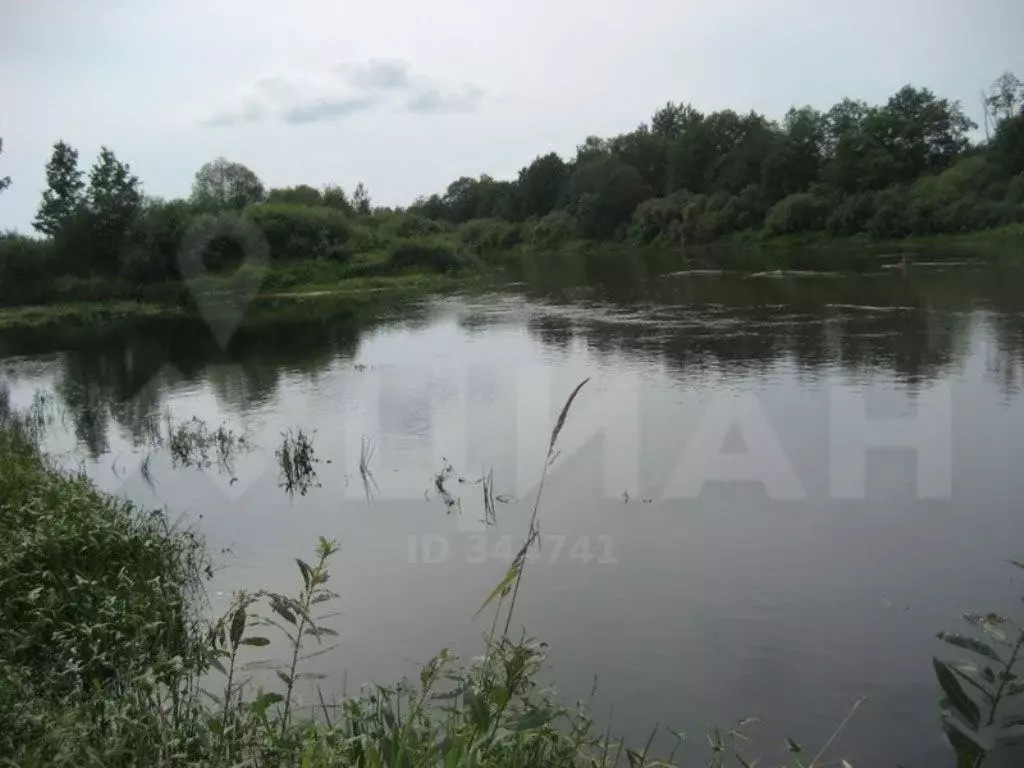 Участок в Псковская область, Пушкиногорье городское поселение, д. ... - Фото 0