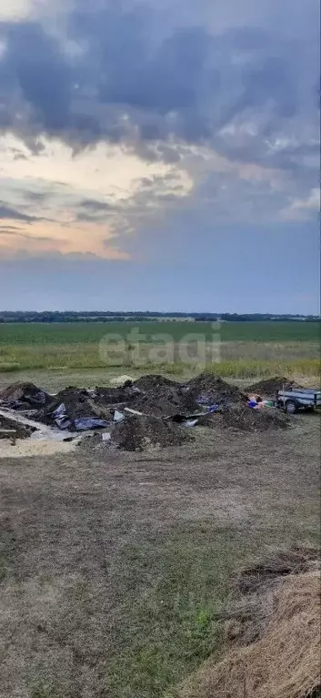 Участок в Белгородская область, Шебекинский муниципальный округ, ... - Фото 2