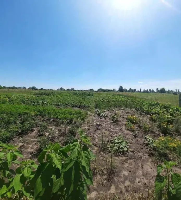 Дом в Белгородская область, Старооскольский городской округ, с. ... - Фото 1