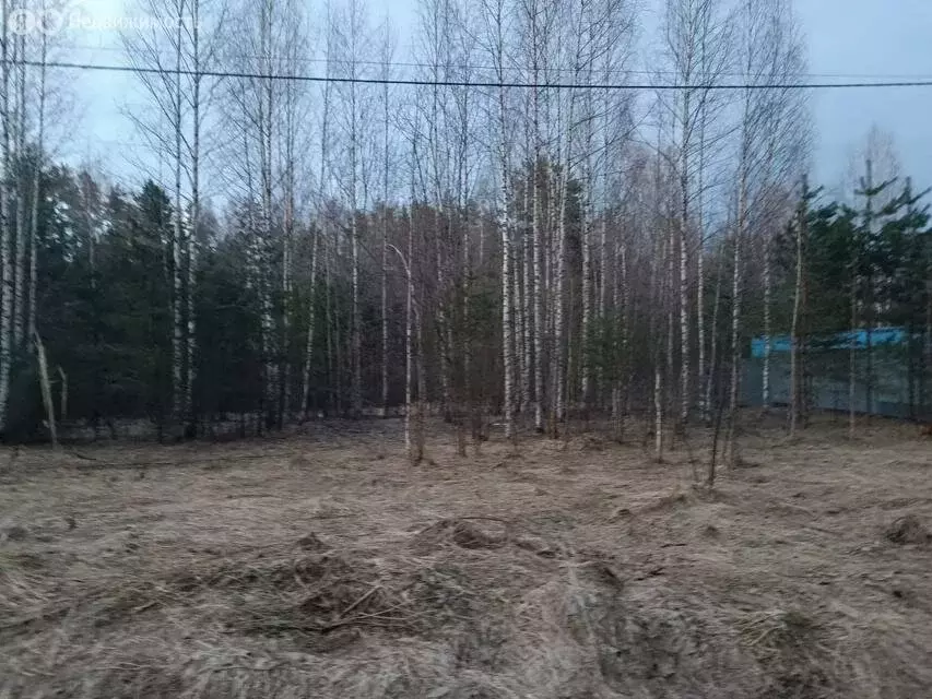 Участок в Сабское сельское поселение, деревня Малый Сабск (15 м) - Фото 1