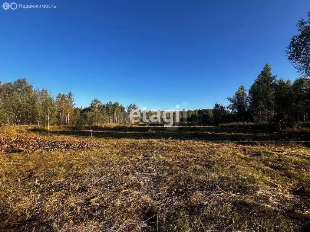 Участок в Владимирская область, Петушинский муниципальный округ, ... - Фото 1