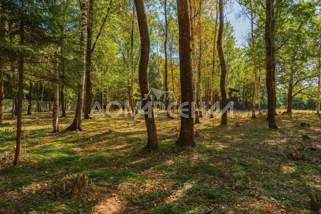 Участок в Московская область, Наро-Фоминский городской округ, ЗАО Нара ... - Фото 1