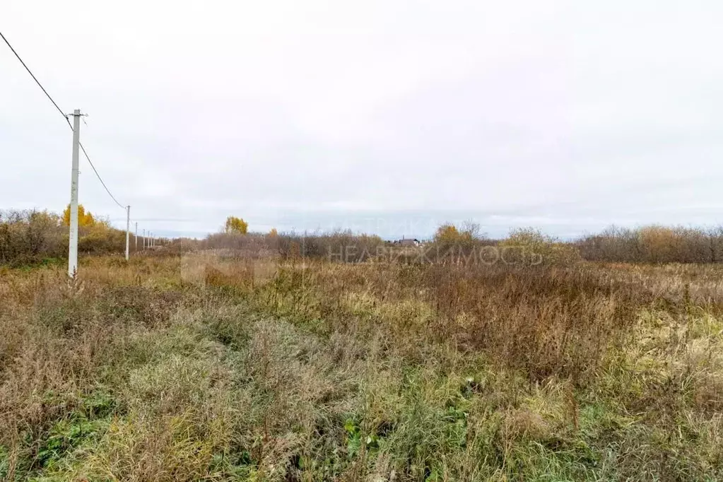 Участок в Тюменская область, Тюмень Рябинка-2 садовое товарищество,  ... - Фото 2