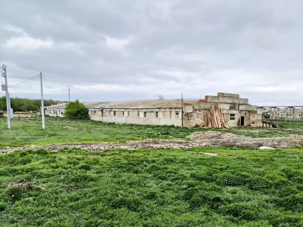 Помещение свободного назначения в Тамбовская область, Тамбовский ... - Фото 0