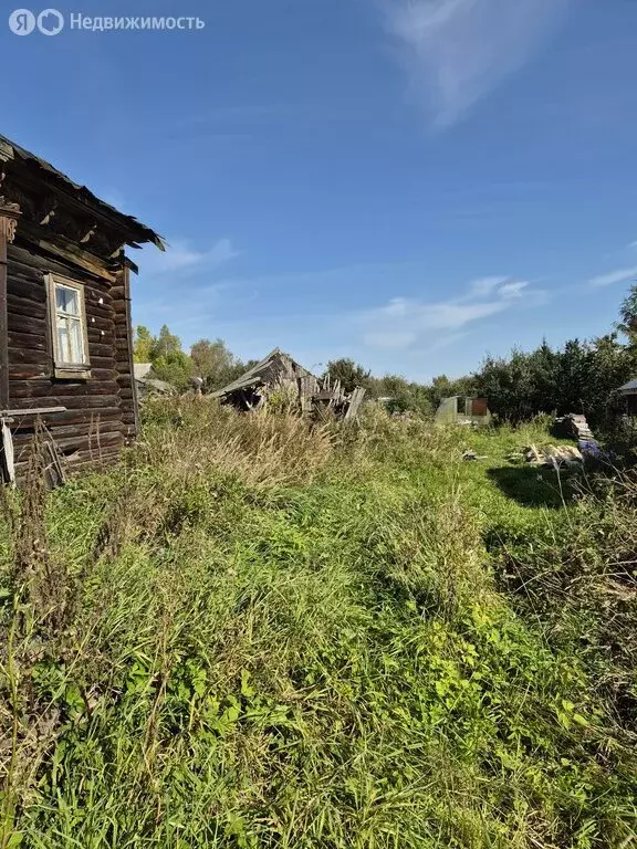 Участок в Ярославская область, Угличский муниципальный округ, село ... - Фото 1