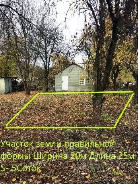 Участок в Брянская область, Брянск Родина садоводческое объединение,  ... - Фото 2