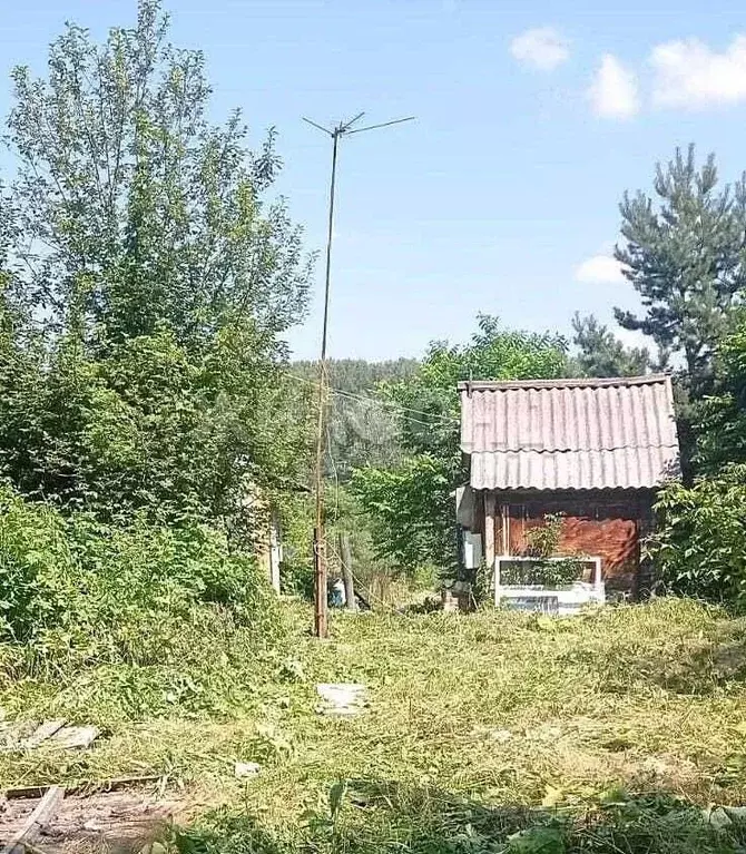 Участок в Новосибирская область, Новосибирск  (11.0 сот.) - Фото 1