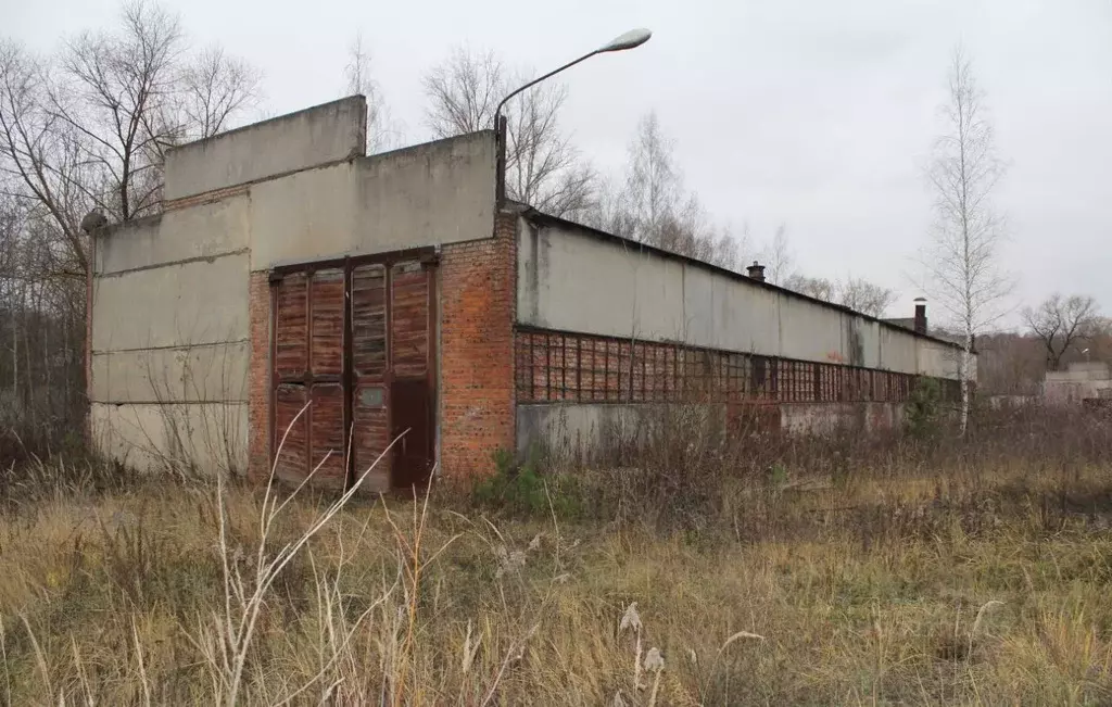 Производственное помещение в Московская область, Кашира ул. ... - Фото 2