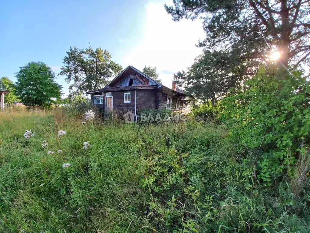 Дом в Вологодская область, д. Резвино 24 (46 м) - Фото 0