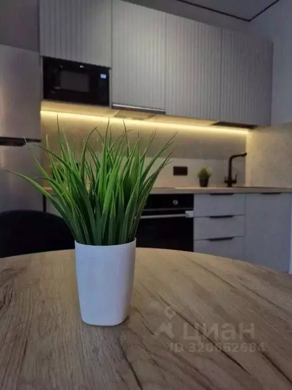 1-к кв. Коми, Сыктывкар Петрозаводская ул., 47 (25.0 м) - Фото 2