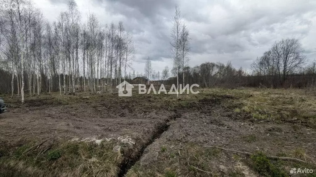 Участок в Всеволожск, улица Николая Брауна (13 м) - Фото 2