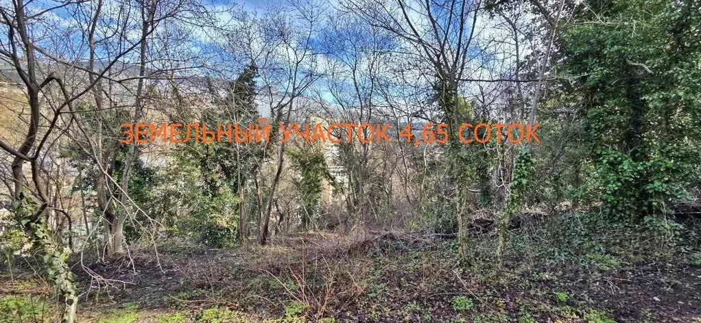 Участок в Крым, Ялта ул. Кривошты, 14 (4.65 сот.) - Фото 1