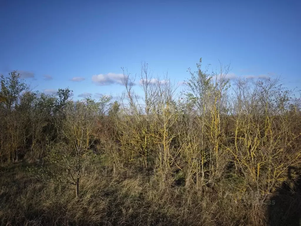 Участок в Крым, Сакский район, с. Сизовка  (1500.0 сот.) - Фото 2