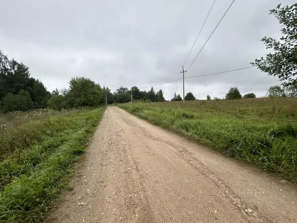 Участок в Владимирская область, Александровский район, ... - Фото 0