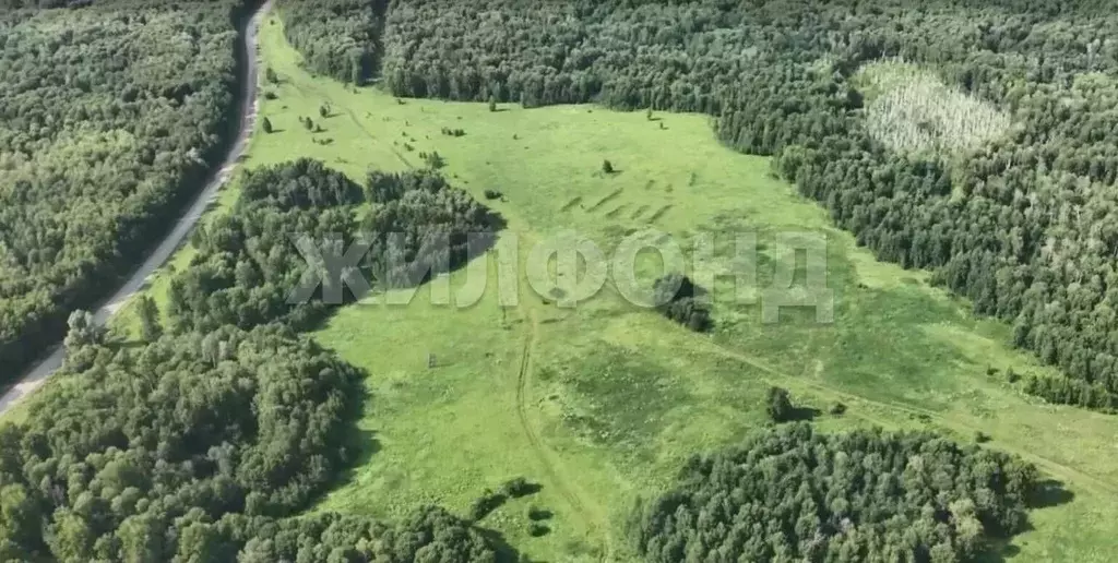 Участок в Новосибирская область, Мошковский район, с. Локти ... - Фото 1