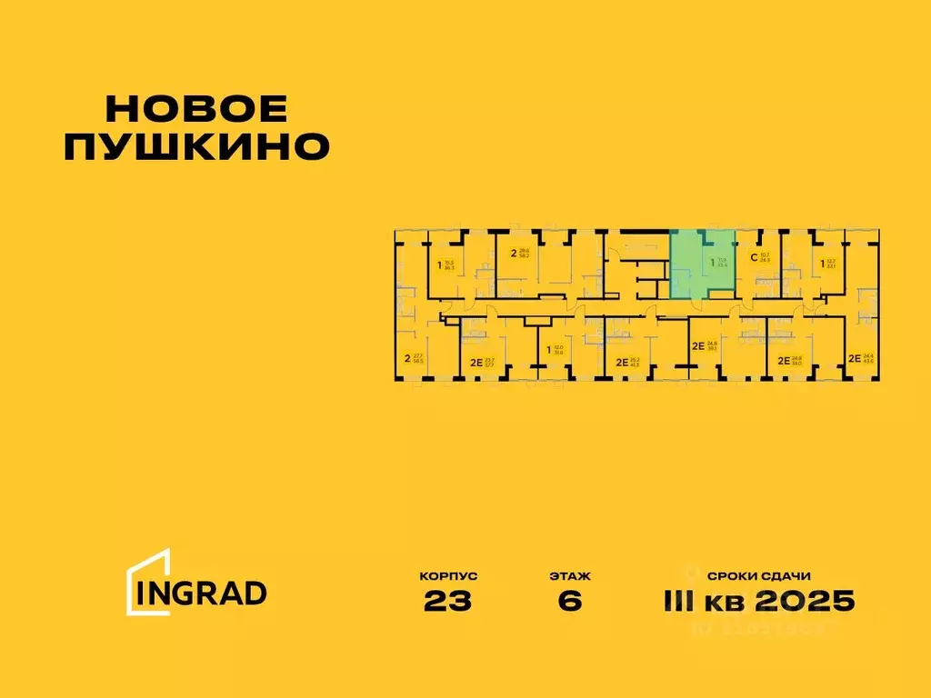 1-к кв. Московская область, Пушкино Новое Пушкино мкр, к23 (32.39 м) - Фото 1