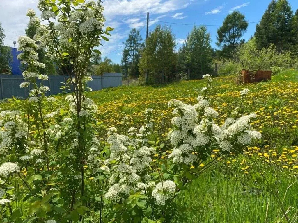 Участок в Иркутская область, Иркутск Рабочая ул., 2А (13.0 сот.) - Фото 1