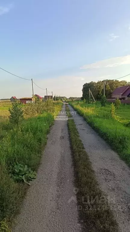 Участок в Омская область, Омский район, Лузинское с/пос, пос. ... - Фото 2