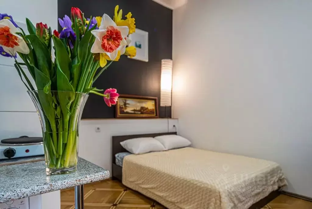 Студия Санкт-Петербург Тележная ул., 9 (25.0 м) - Фото 0