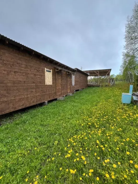 Участок в Московская область, Можайский муниципальный округ, Ясная ... - Фото 1