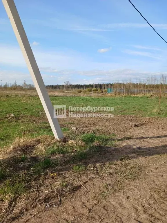 Участок в Ленинградская область, Ломоносовский район, Низинское с/пос, ... - Фото 2