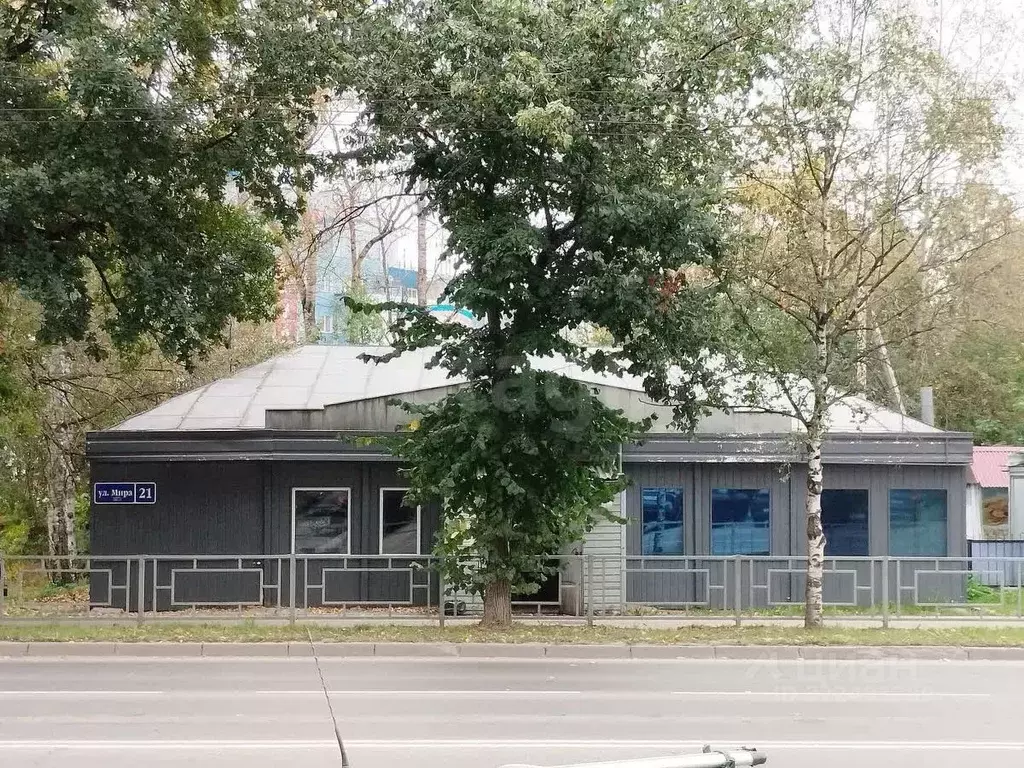 Торговая площадь в Вологодская область, Вологда ул. Мира, 21 (269 м) - Фото 0