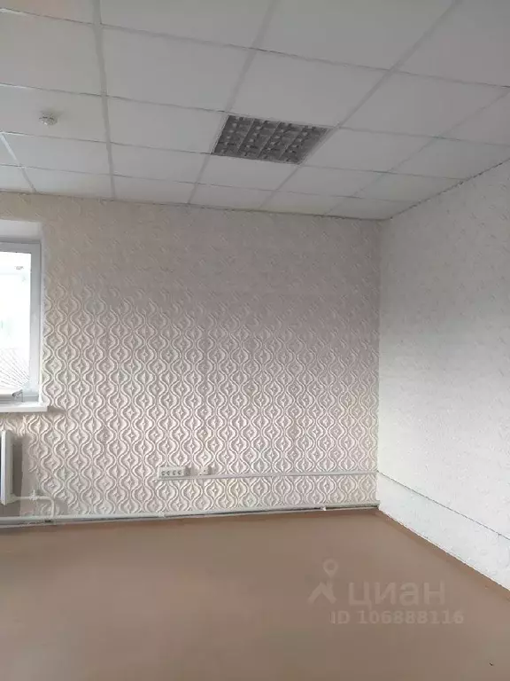 Офис в Новосибирская область, Новосибирск ул. Мира, 54 (30 м) - Фото 1
