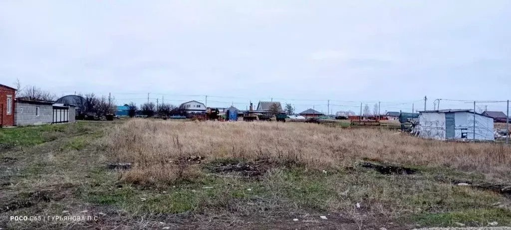 Участок в Краснодарский край, Ейский район, с. Кухаривка Северная ул. ... - Фото 1