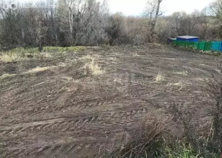 Участок в Пестречинский район, Богородское сельское поселение, село ... - Фото 0