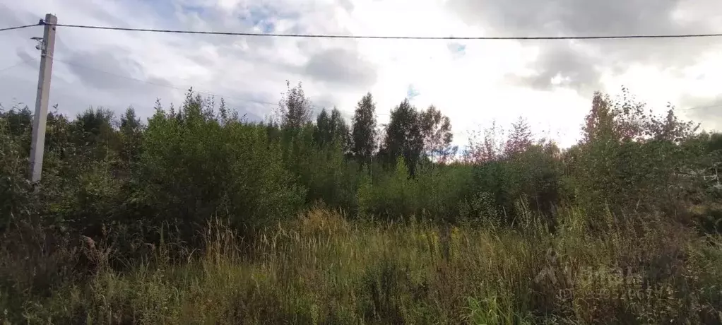 Участок в Московская область, Дубна ул. 3-я Хвойная (20.0 сот.) - Фото 2