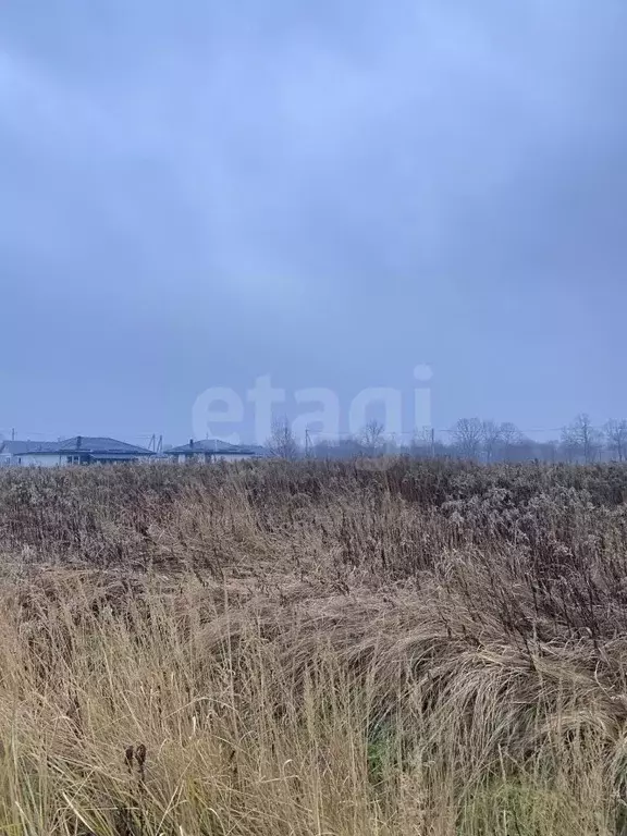 Участок в Калининградская область, Гурьевский муниципальный округ, ... - Фото 2