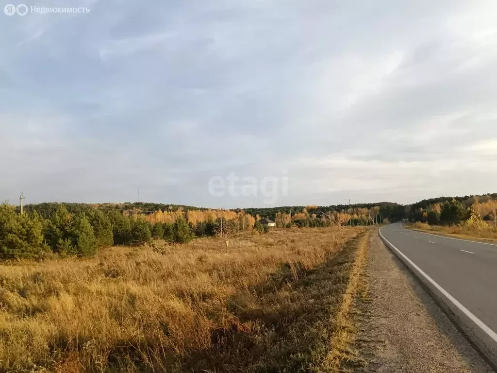 Участок в Ишим, улица Щорса (10 м) - Фото 0