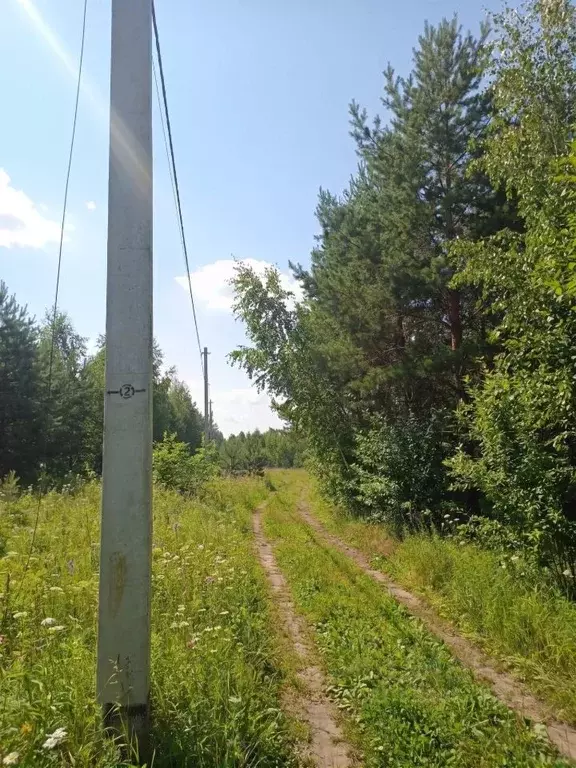 Участок в Иркутская область, Иркутский муниципальный округ, с. ... - Фото 2