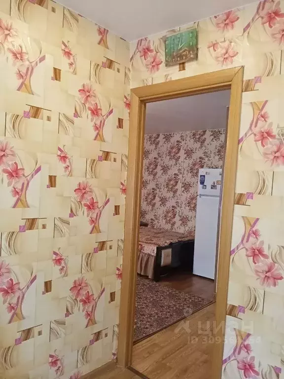 1-к кв. Калужская область, Белоусово г. Жуковский муниципальный округ, ... - Фото 2