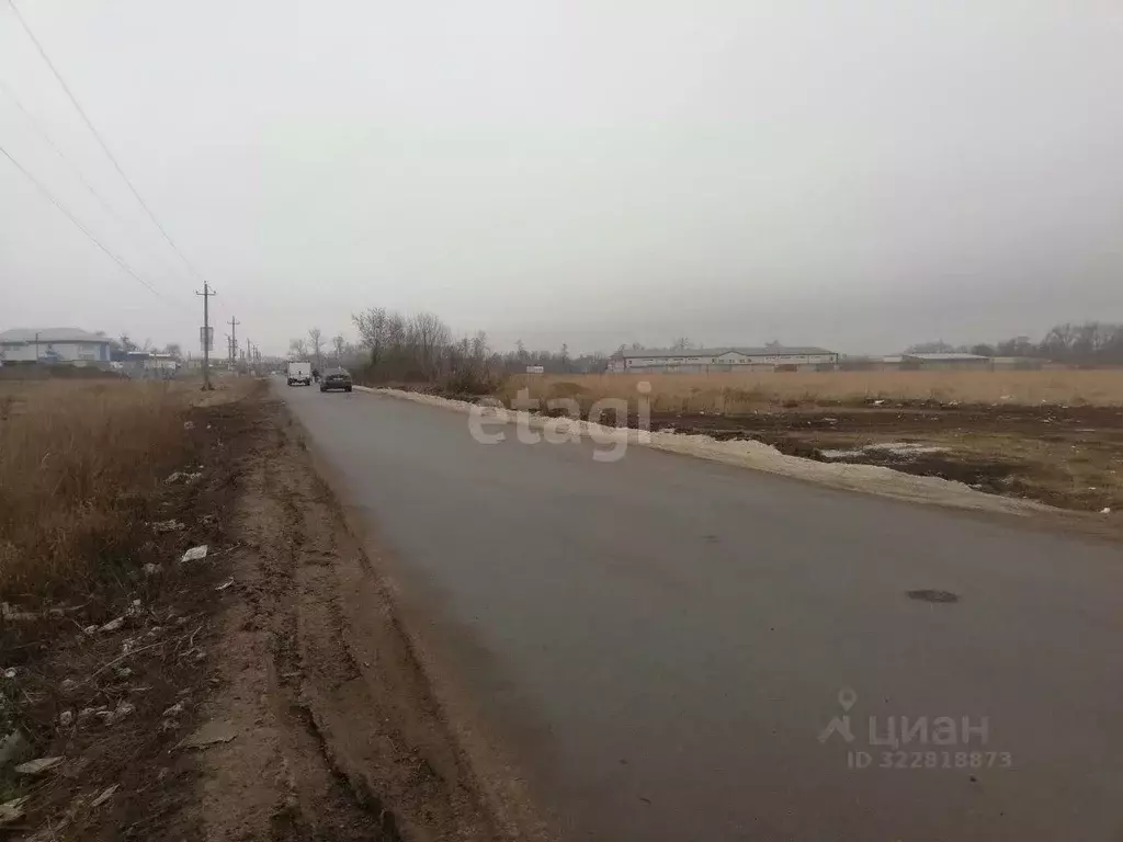 Участок в Курская область, Курский район, Новопоселеновский сельсовет, ... - Фото 1