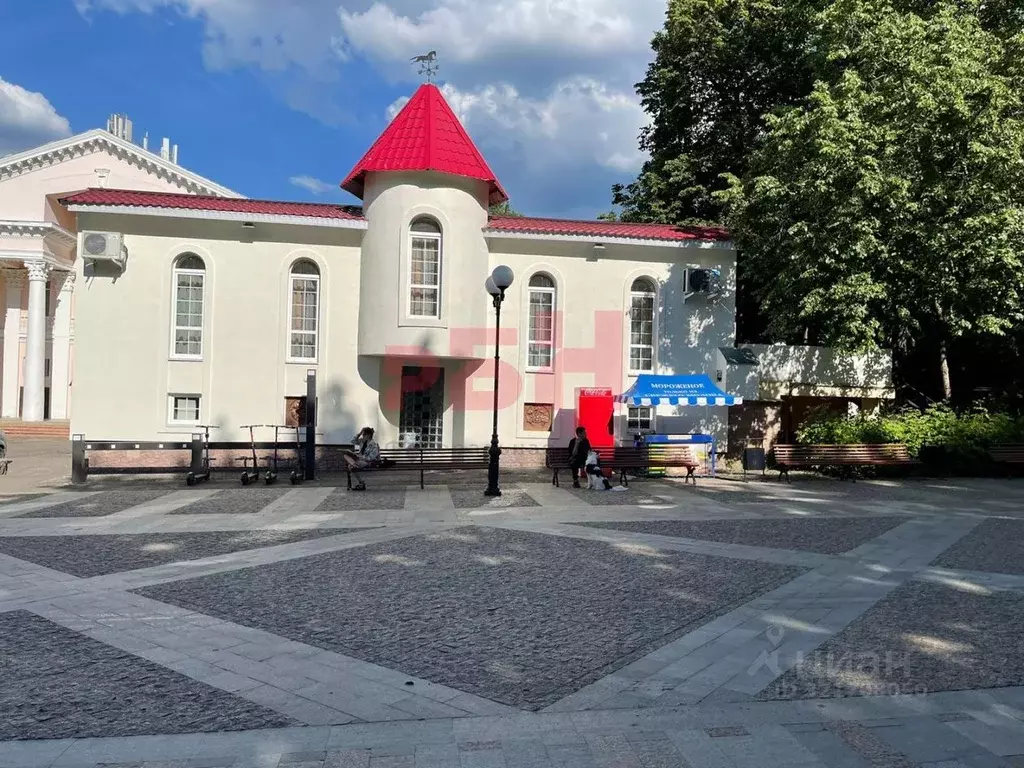 Помещение свободного назначения в Пензенская область, Пенза Московская ... - Фото 1