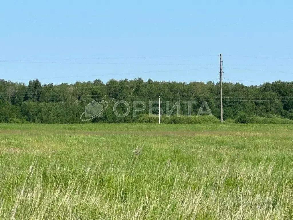 Участок в Тюменская область, Тюменский район, д. Елань, Московские ... - Фото 0