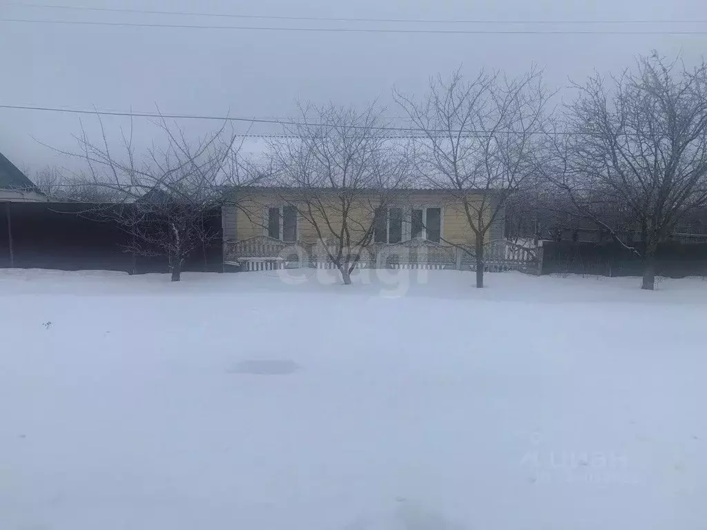Дом в Белгородская область, Вейделевский район, с. Большие Липяги ул. ... - Фото 2