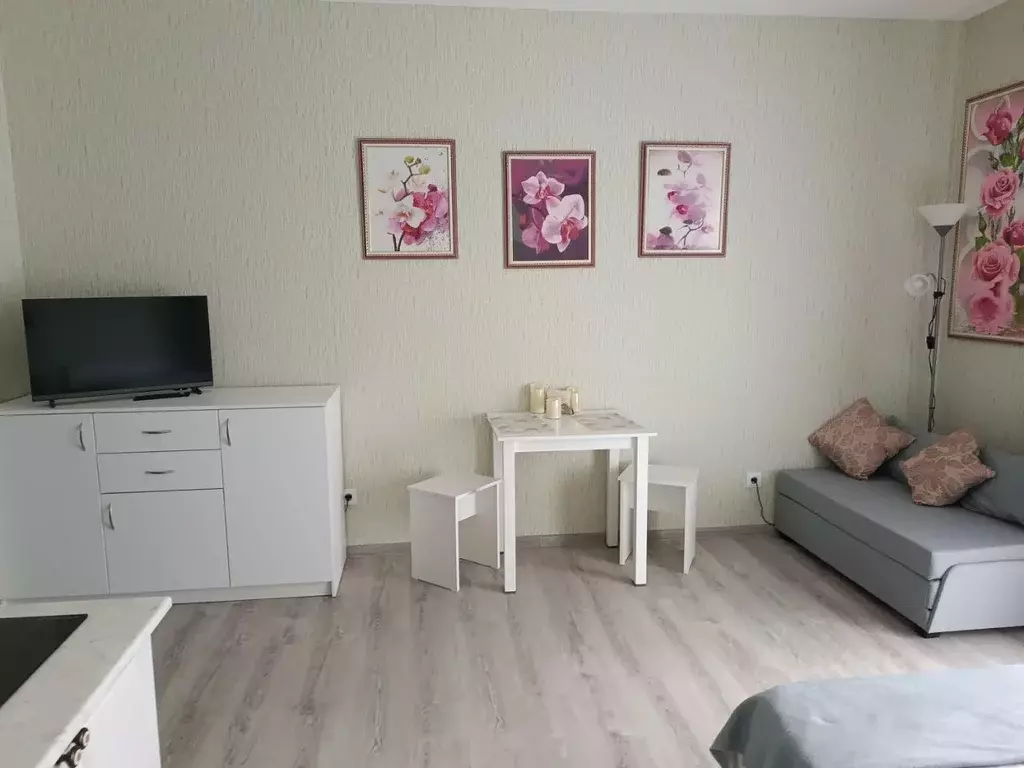 Студия Псковская область, Псковский район, Завеличенская волость, д. ... - Фото 1