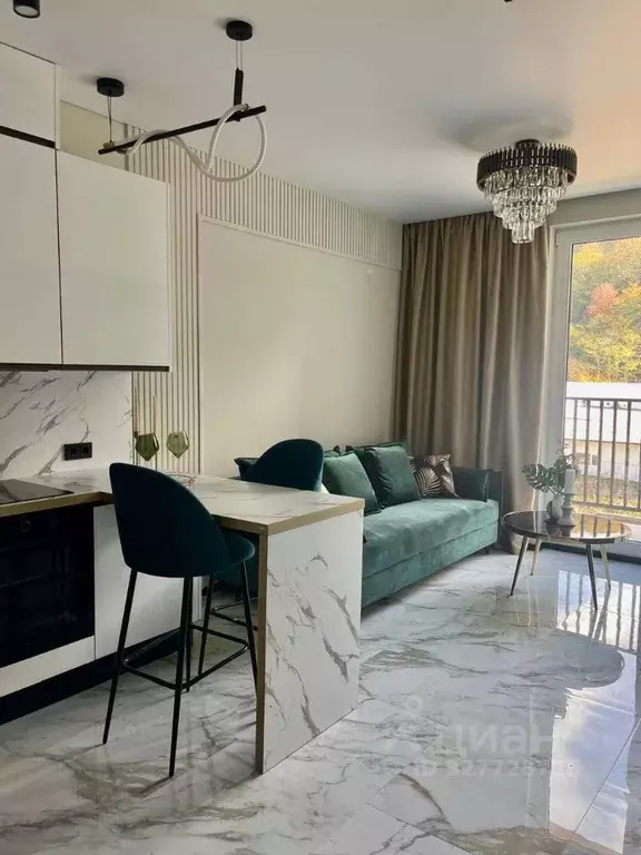 3-к кв. Краснодарский край, Сочи городской округ, Дагомыс пгт ул. ... - Фото 2