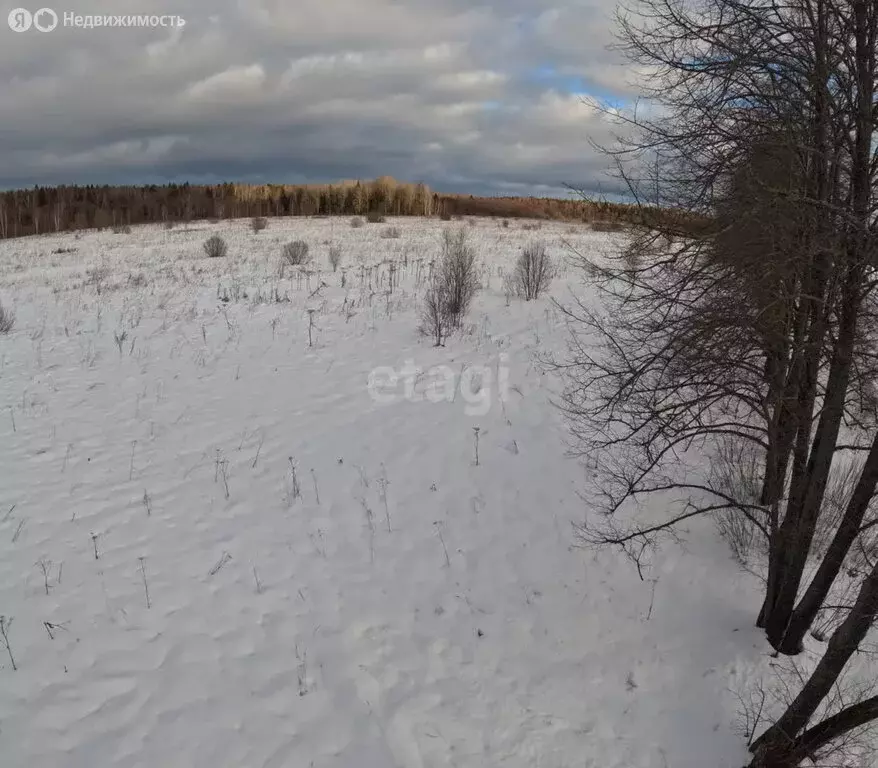 Участок в Московская область, городской округ Клин, деревня Микляево ... - Фото 0